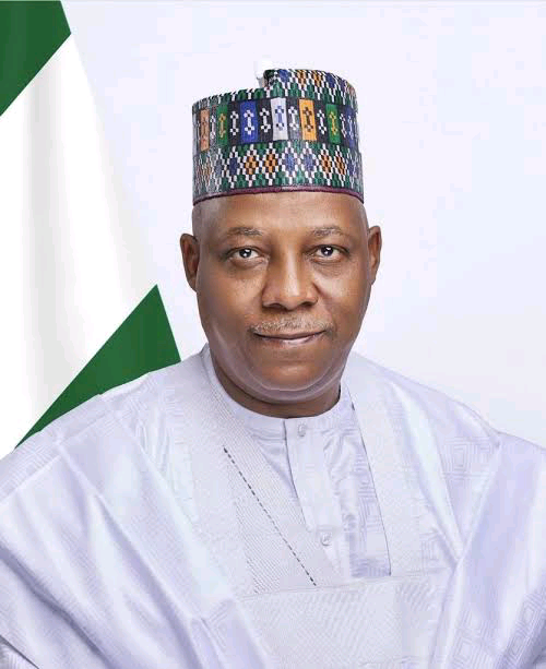 Kashim Shettima Biography And Net Worth